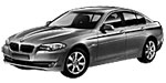 BMW F10 C050D Fault Code